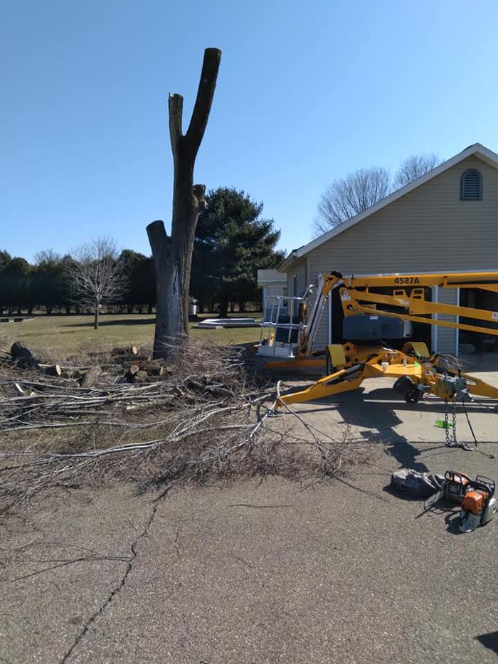 Bolins Tree Service - Benton Harbor, MI