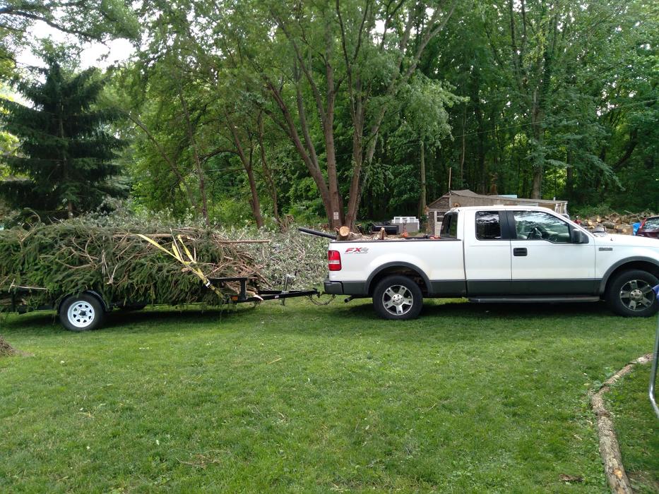 Bolins Tree Service - Benton Harbor, MI