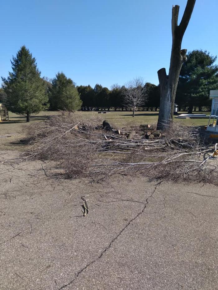 Bolins Tree Service - Benton Harbor, MI