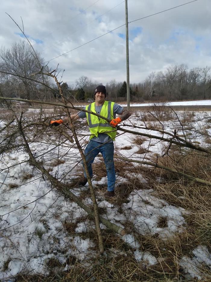 Bolins Tree Service - Benton Harbor, MI