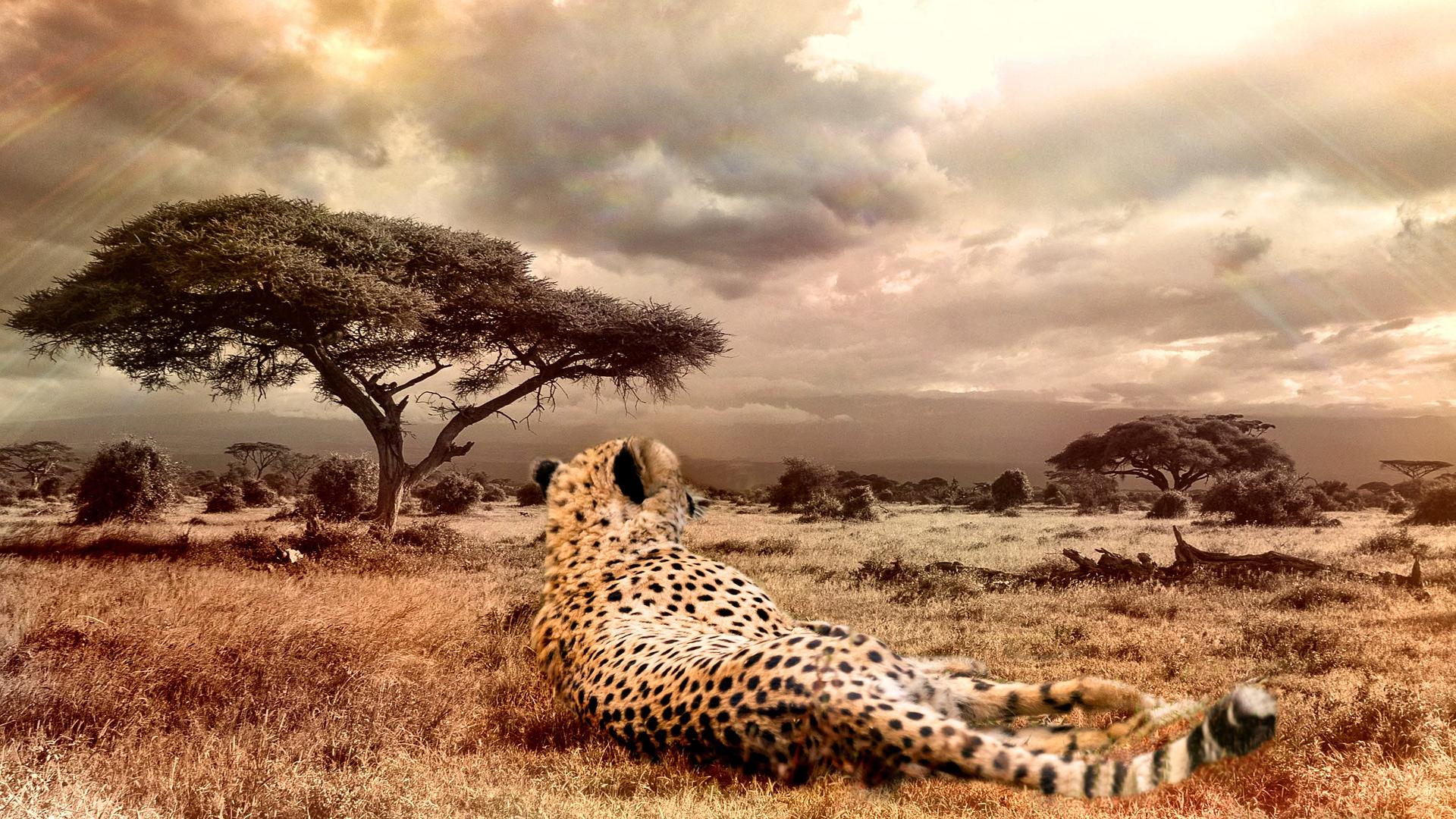 Chankara - Seriöse Partnerrückführung und mehr, Metzdorfstraße in Saarbrücken