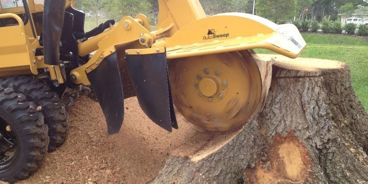 USA Landscaping - Conway, SC