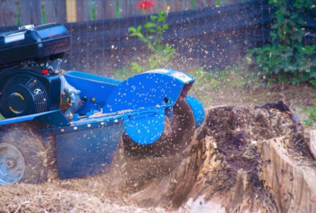 Yelton Tree Service - Hickory, NC