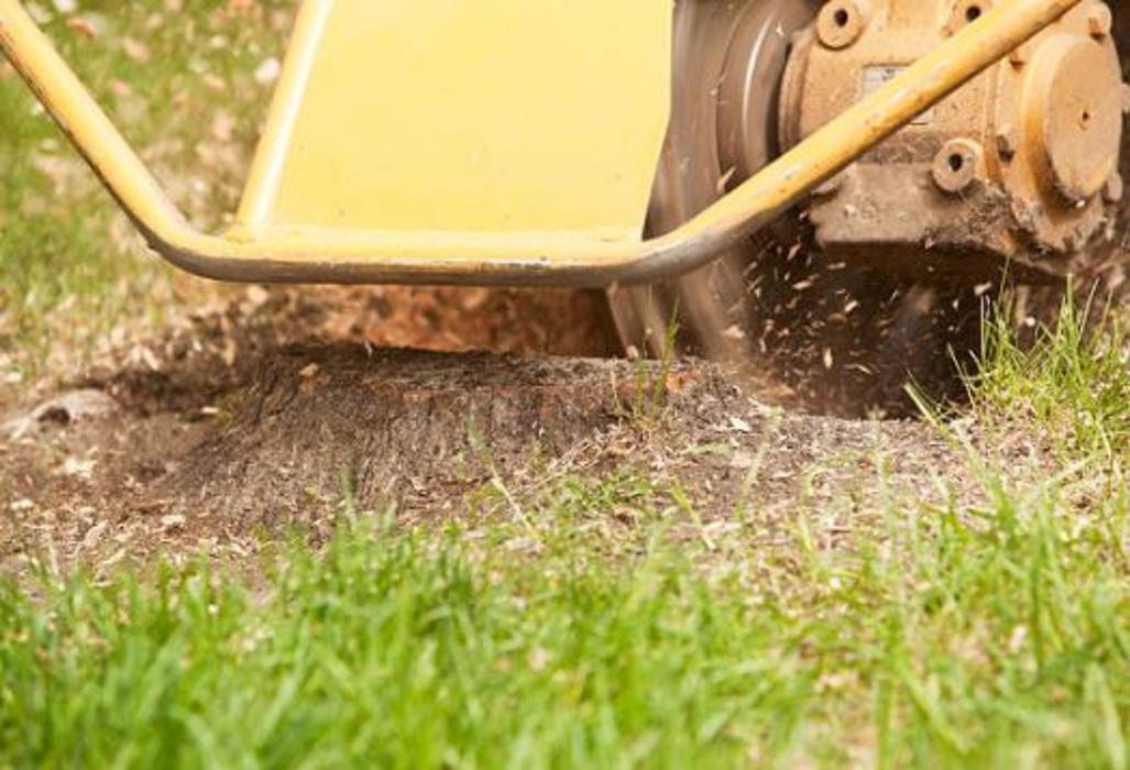 Yelton Tree Service - Hickory, NC