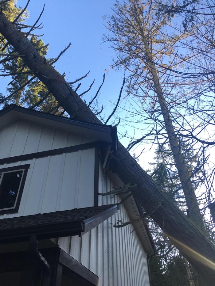 Big Bad Builder LLC - Bremerton, WA