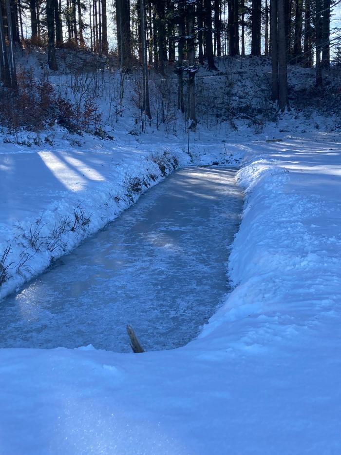 Obereggut - Hof bei Salzburg, Hinterschroffenaustraße in Hinterschroffenau