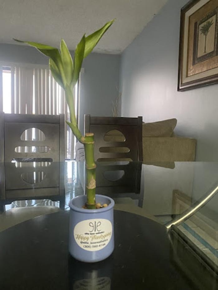 Elite Laser Esthetics - Miami Lakes, FL