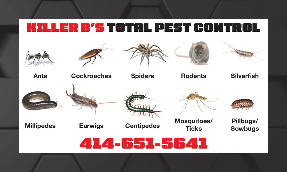 Killer B's Total Pest Control LLC - Waukesha, WI