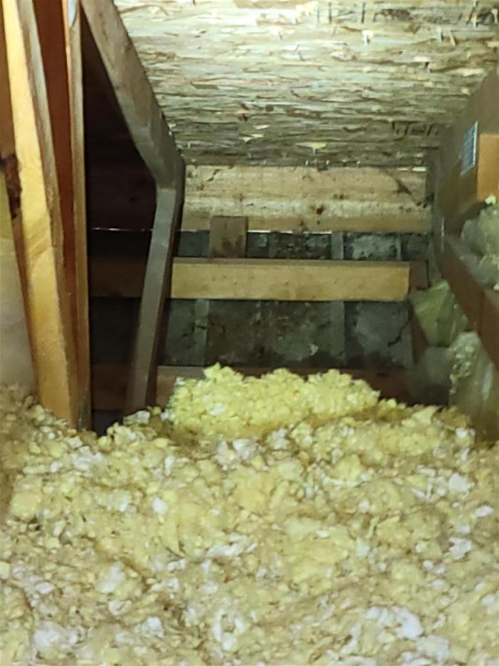 Killer B's Total Pest Control LLC - Waukesha, WI