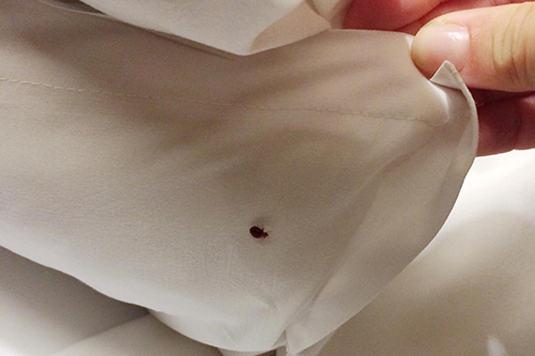 Killer B's Total Pest Control LLC - Waukesha, WI