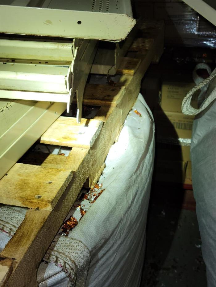 Killer B's Total Pest Control LLC - Waukesha, WI