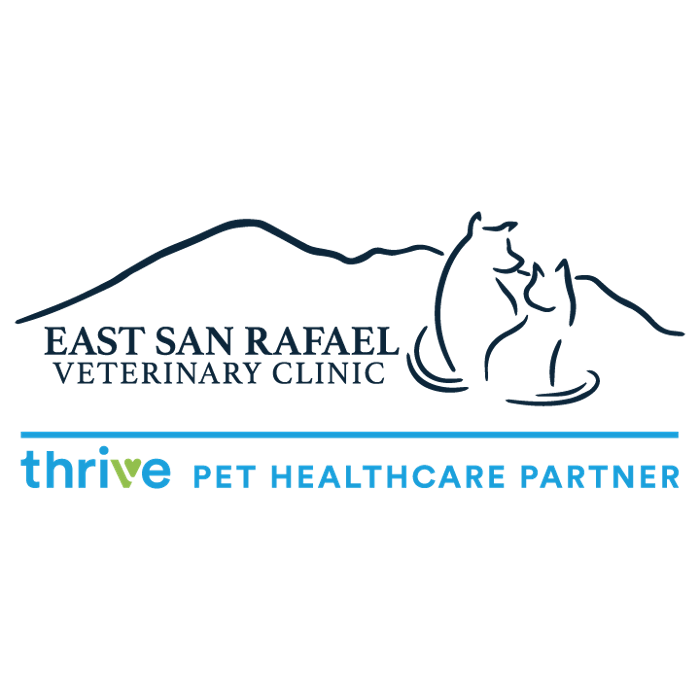 East San Rafael Veterinary Clinic