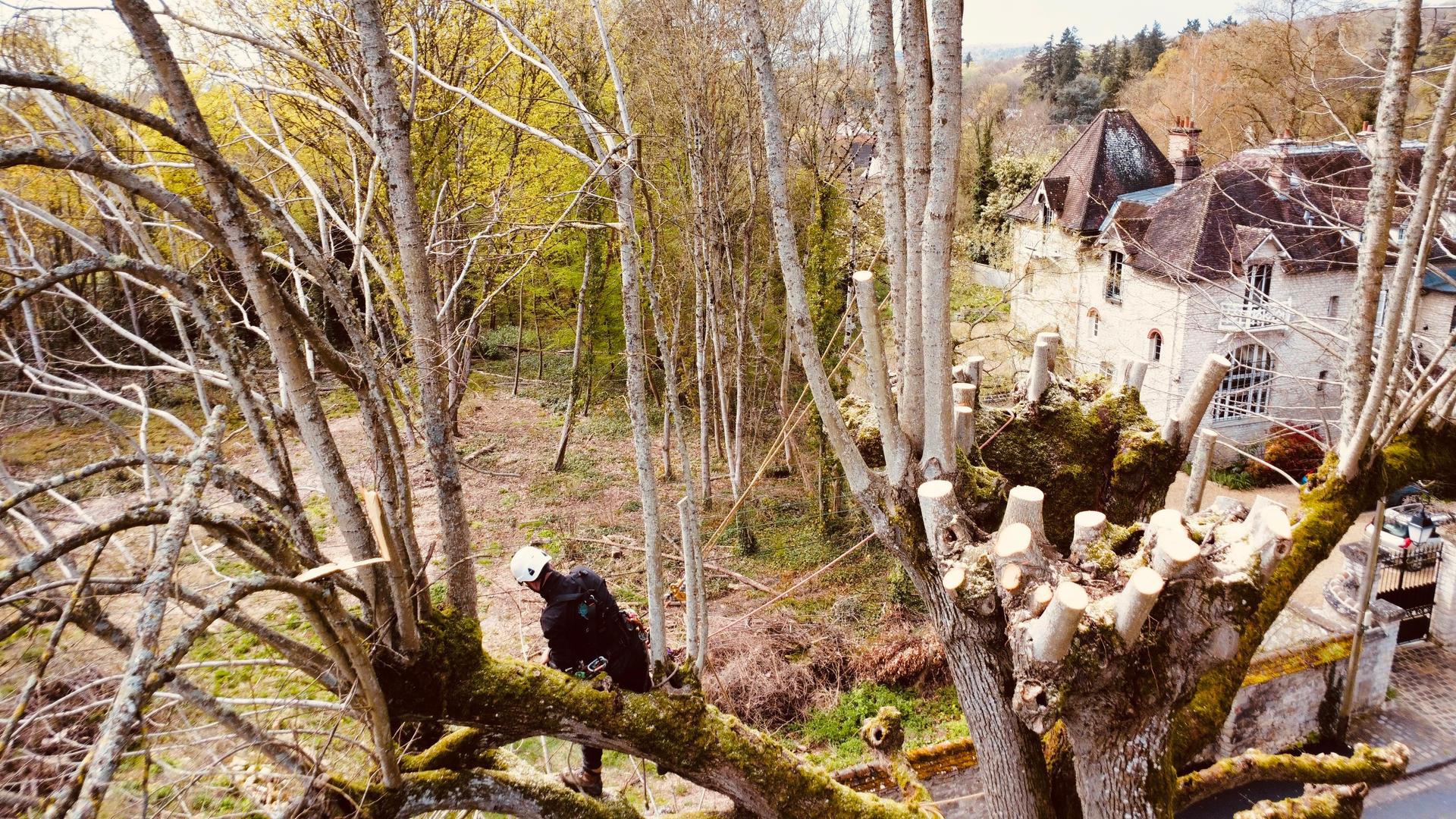 galerie image