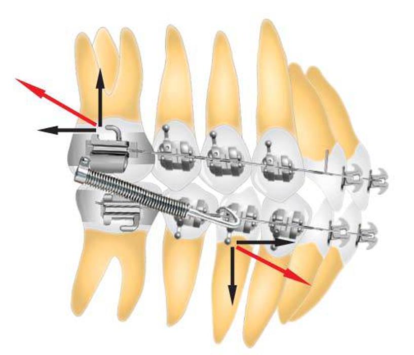 Salaita Orthodontics - Westerville, OH