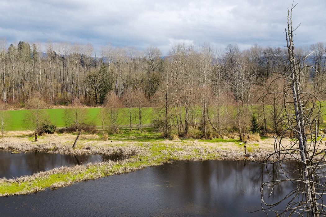 LGI Homes - Gilman Walk Image