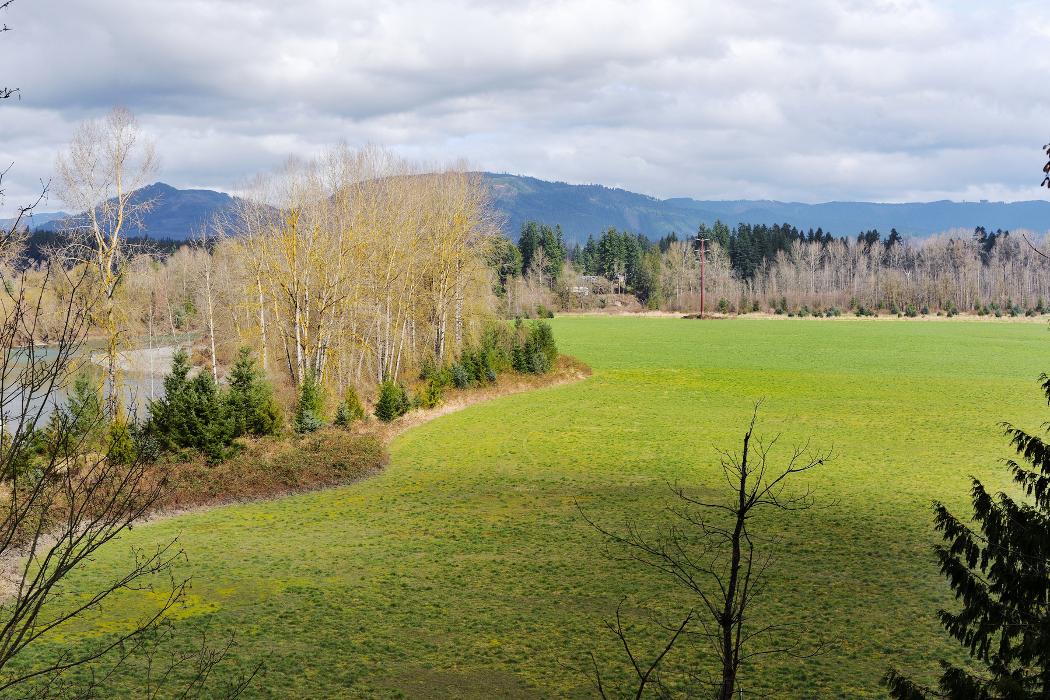 LGI Homes - Gilman Walk Image