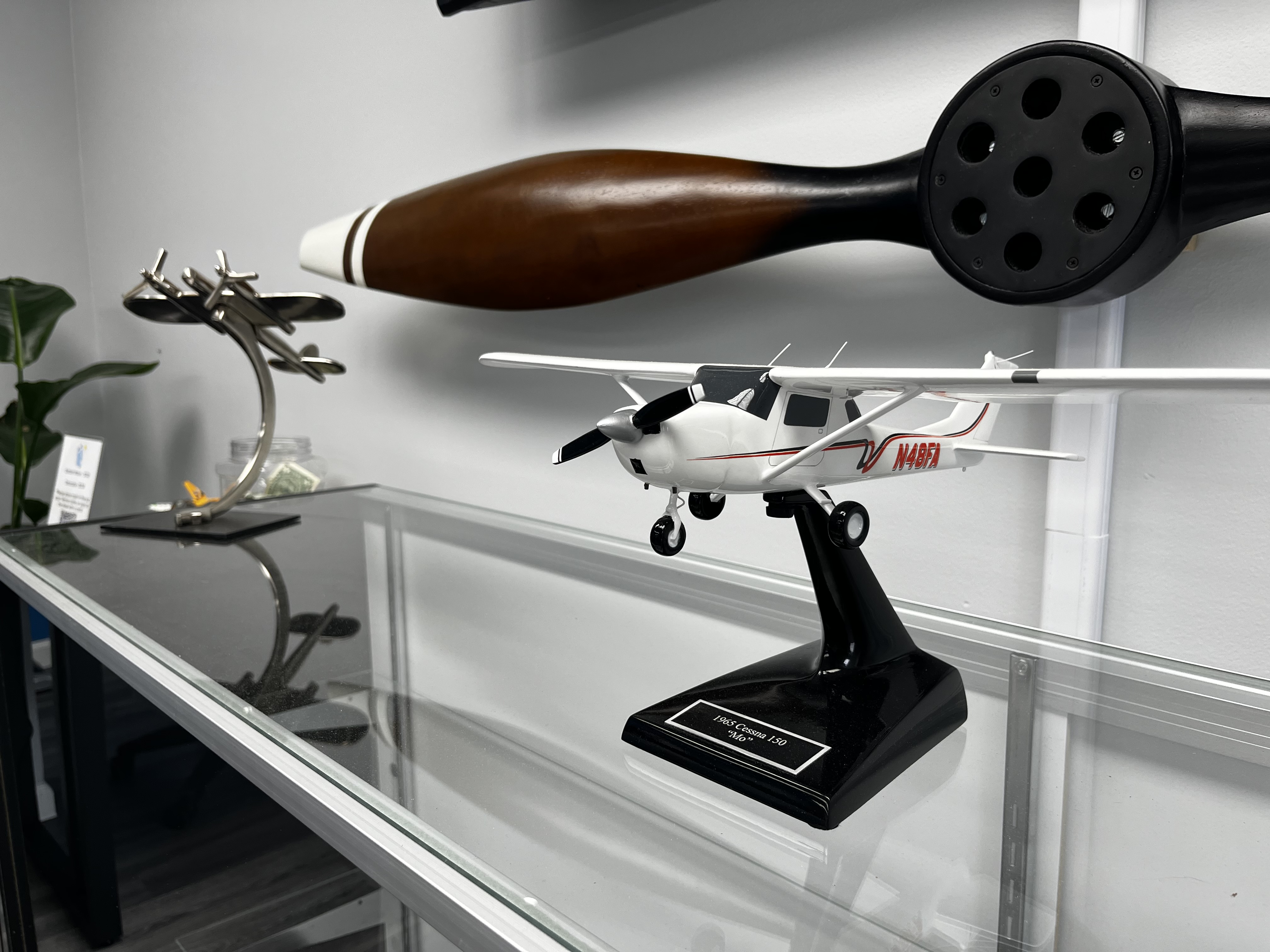 The CAVU Pilot Image