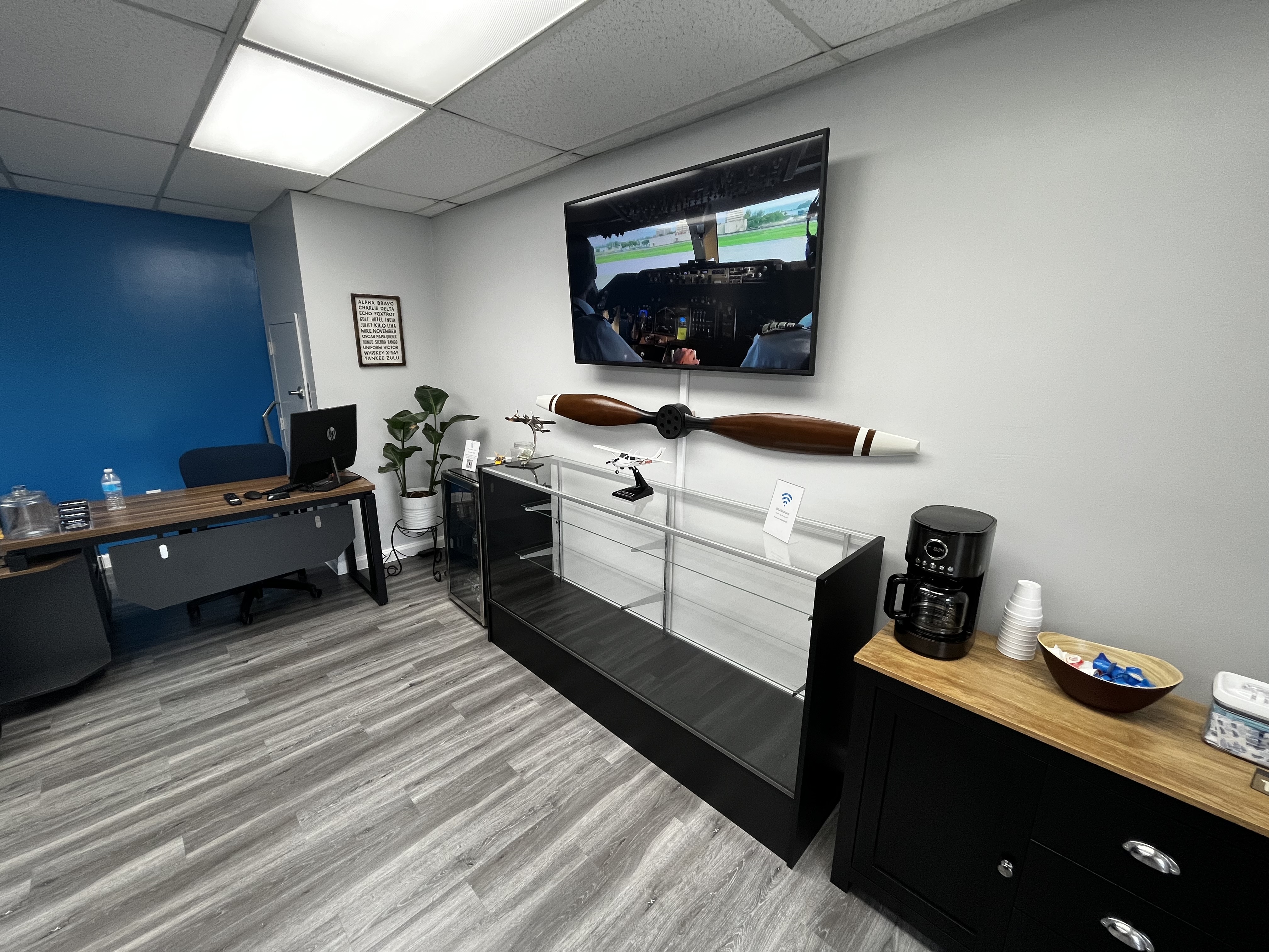 The CAVU Pilot Image