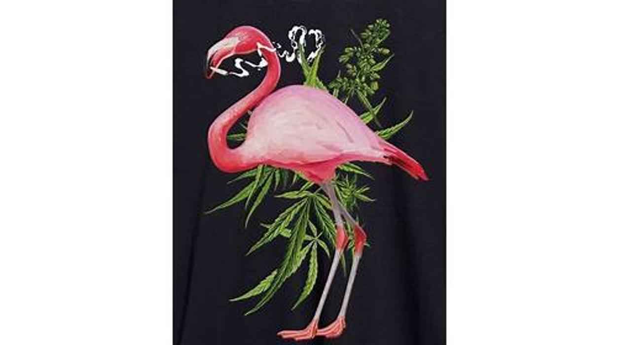 Faded Flamingo - Cushing, OK