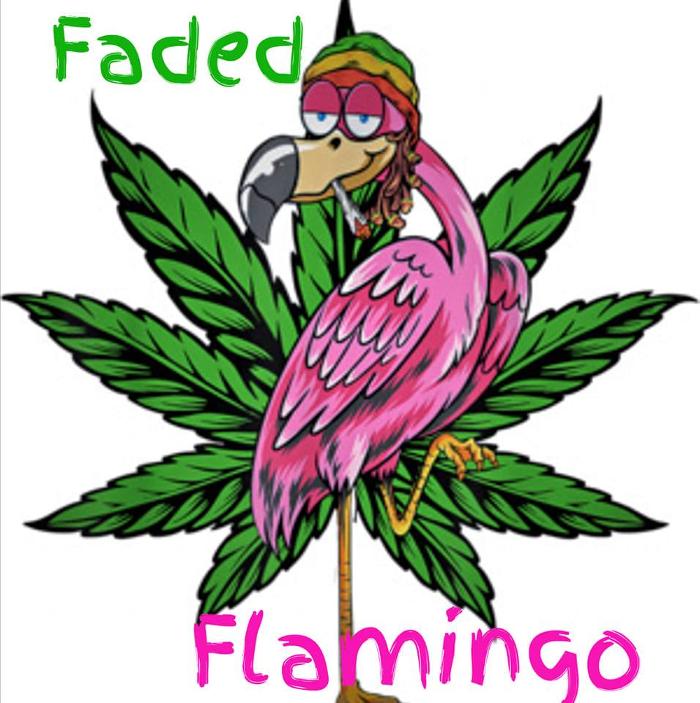 Faded Flamingo - Cushing, OK
