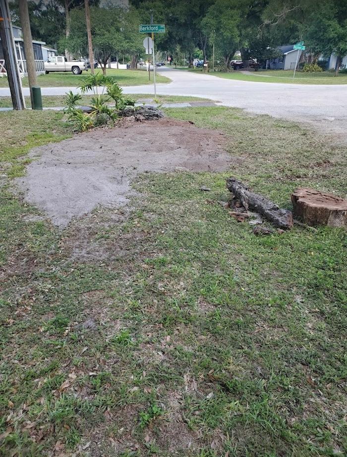 Stump Professionals LLC - Tampa, FL