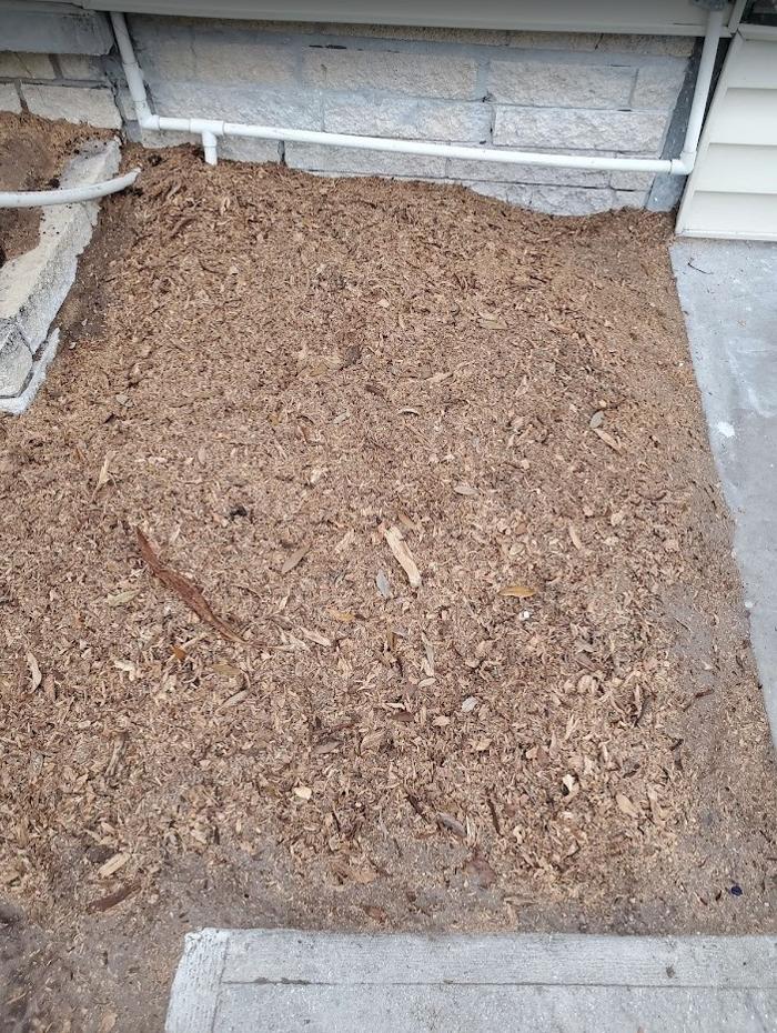 Stump Professionals LLC - Tampa, FL