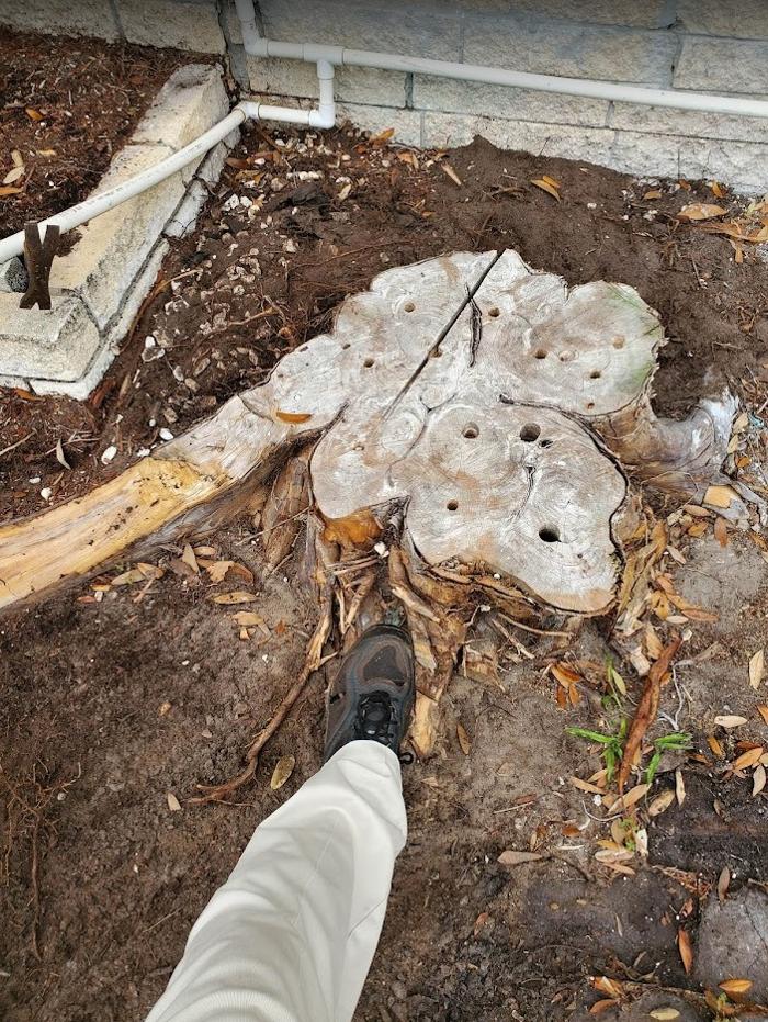 Stump Professionals LLC - Tampa, FL