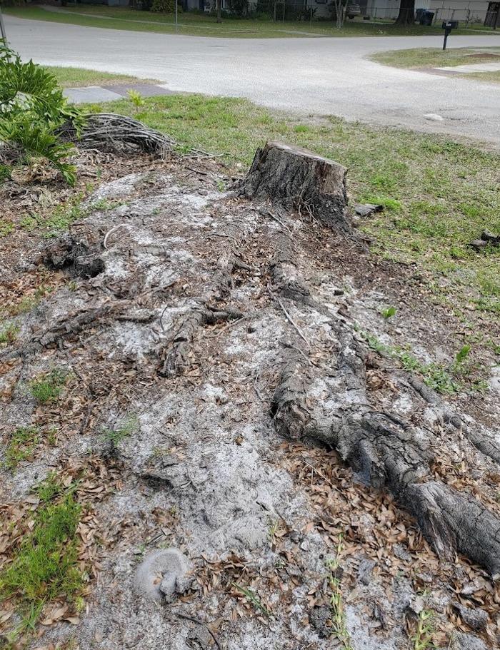 Stump Professionals LLC - Tampa, FL