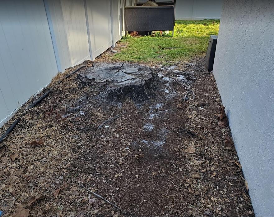 Stump Professionals LLC - Tampa, FL