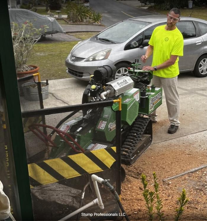Stump Professionals LLC - Tampa, FL