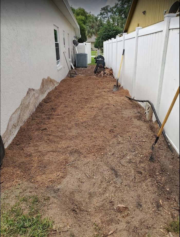 Stump Professionals LLC - Tampa, FL