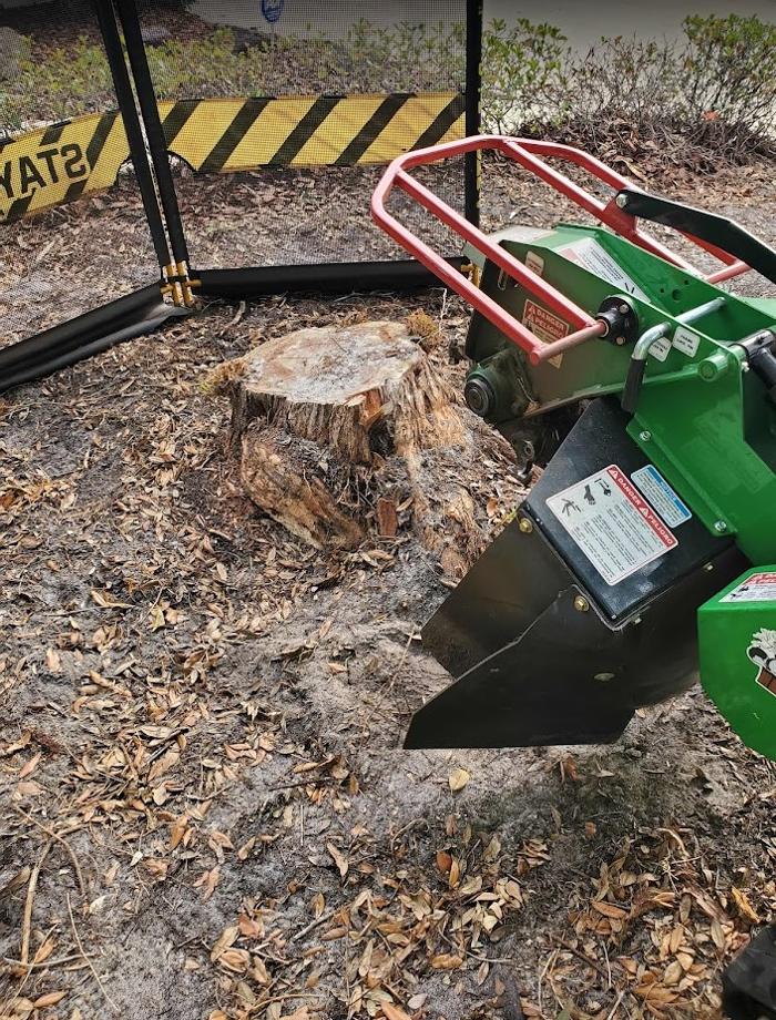 Stump Professionals LLC - Tampa, FL