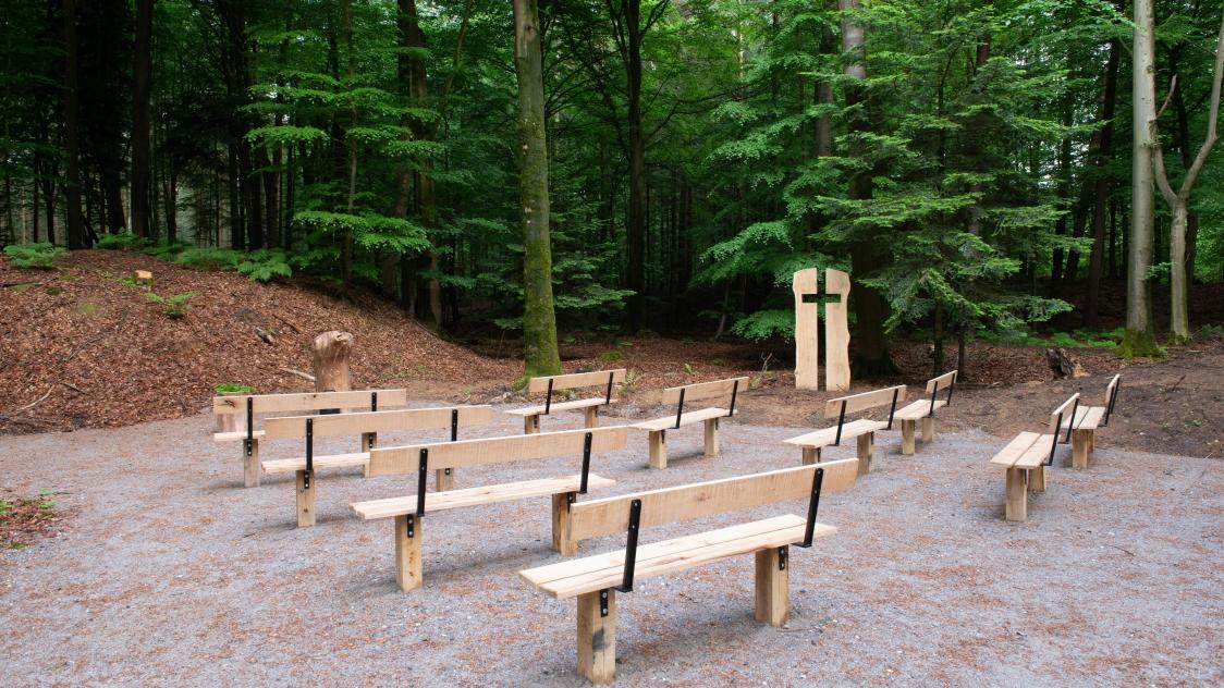 FriedWald Cloppenburg, Friesoyther Straße in Cloppenburg