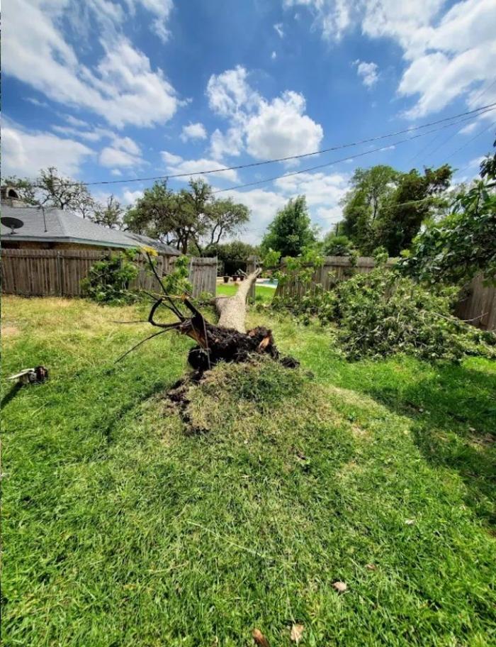 Grooms-To-Go - San Antonio, TX