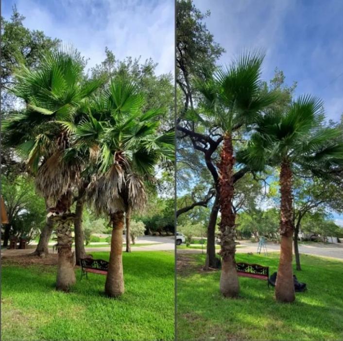 Grooms-To-Go - San Antonio, TX