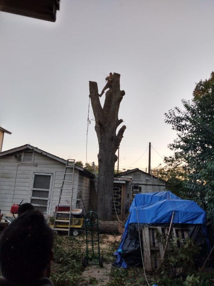 Grooms-To-Go - San Antonio, TX