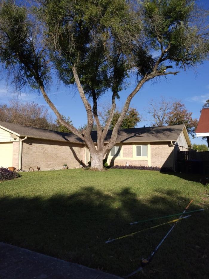 Grooms-To-Go - San Antonio, TX