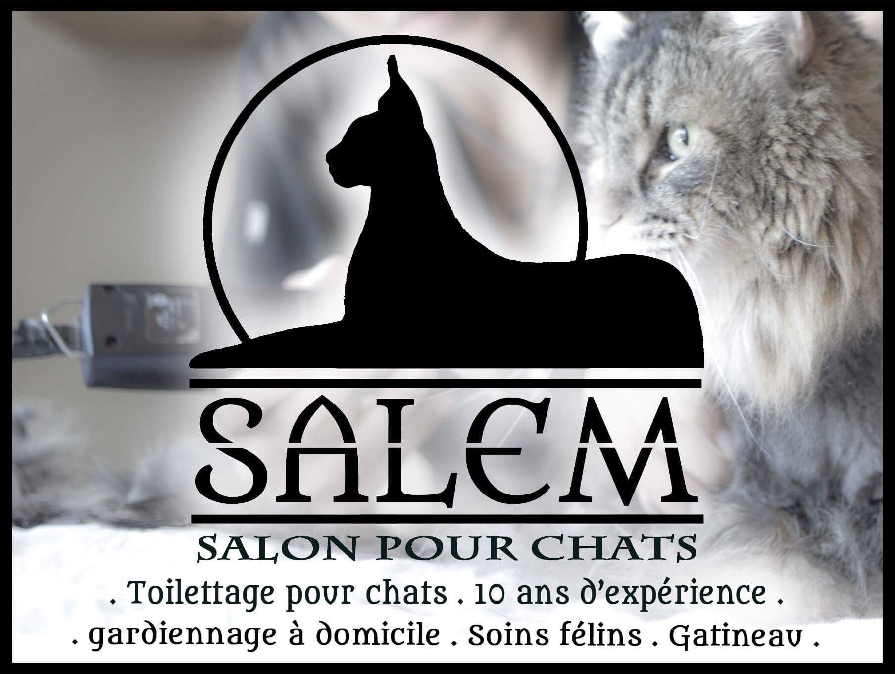 Salem Salon pour Chats