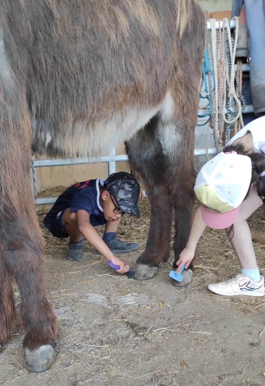 Miniature de la galerie