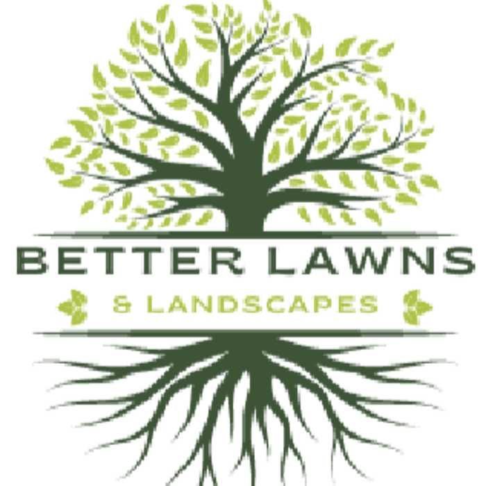 All Better Lawns and Landscapes - Weirsdale, FL