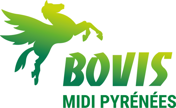BOVIS MIDI PYRÉNÉES