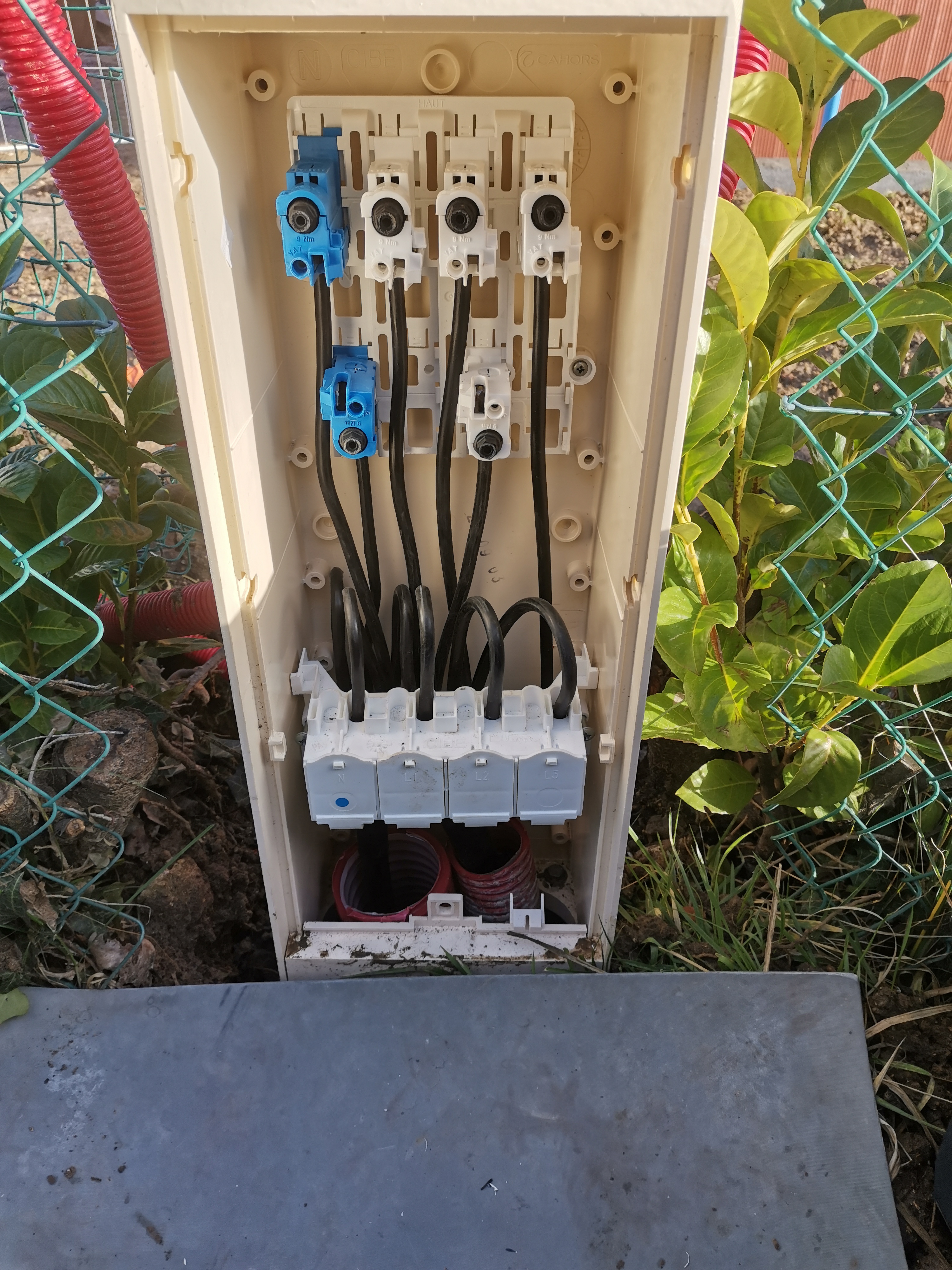 Miniature de la galerie