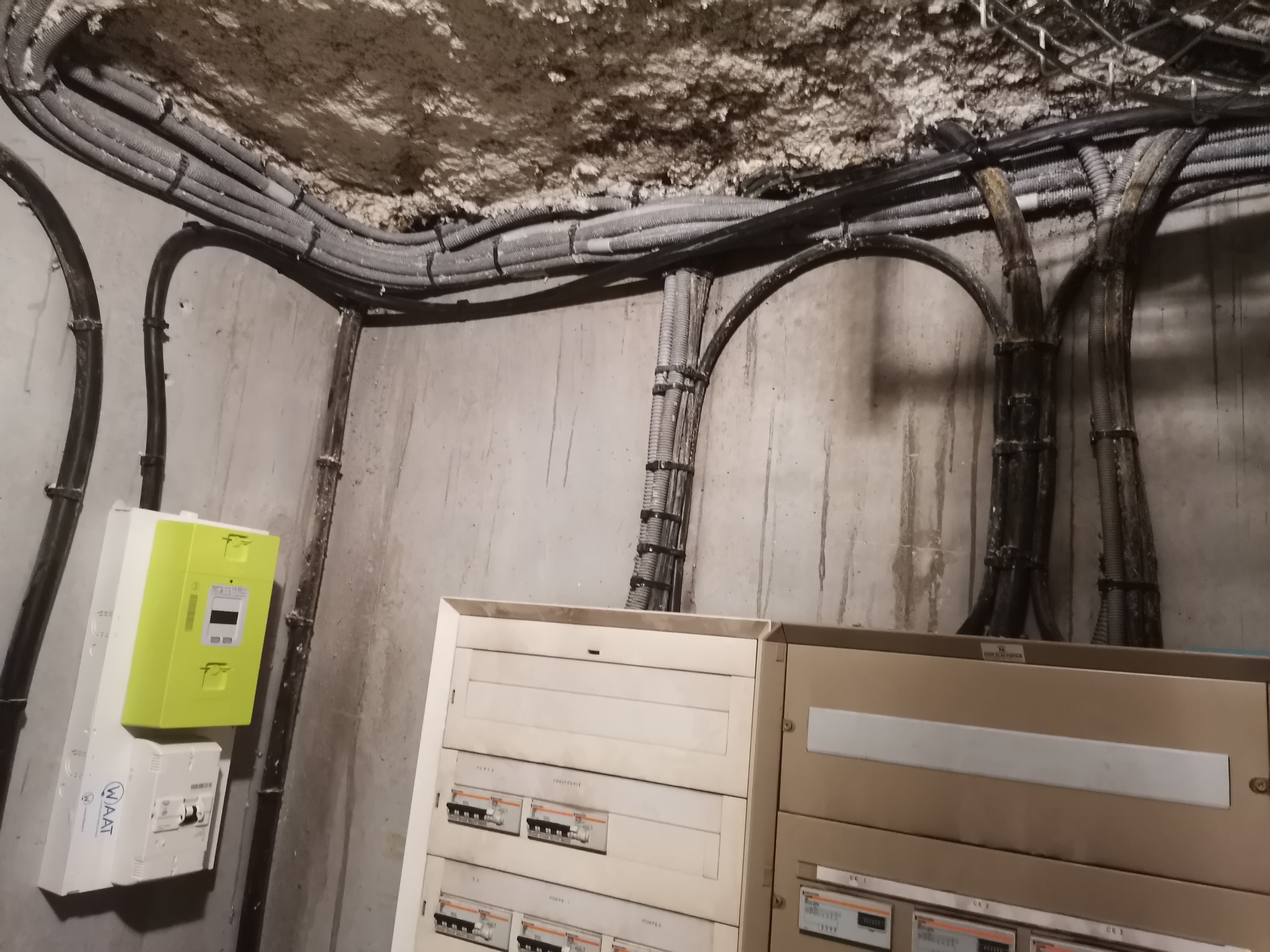 Miniature de la galerie