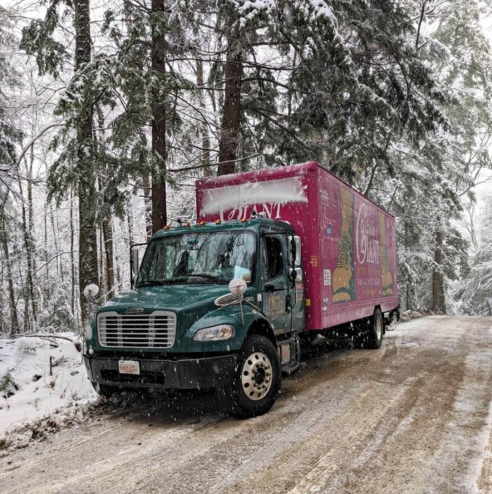 Gentle Giant Moving Company - Charlotte, NC