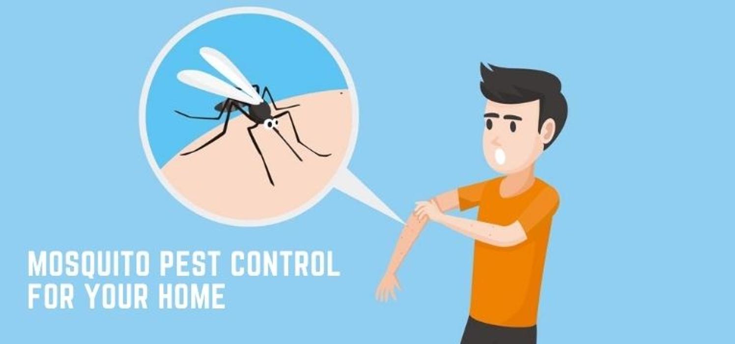 Big Fish Pest Control, LLC Logo