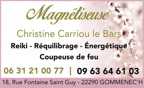 Le Bars Carriou Christine soins hors d'un cadre réglementé