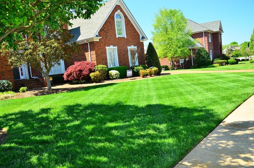 Reef's Lawn, Leaves and Things - Charlotte, NC
