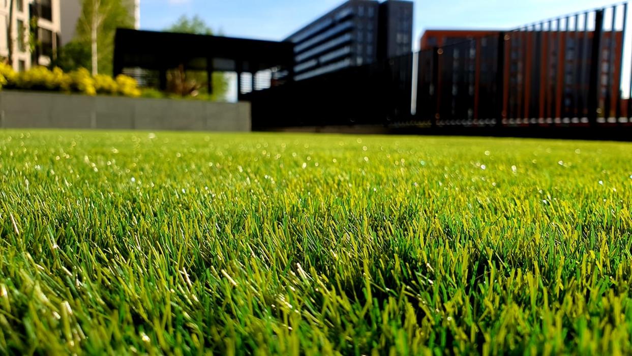 Reef's Lawn, Leaves and Things - Charlotte, NC