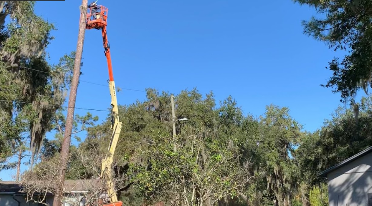 Omni Services of Central Florida LLC - Saint Cloud, FL