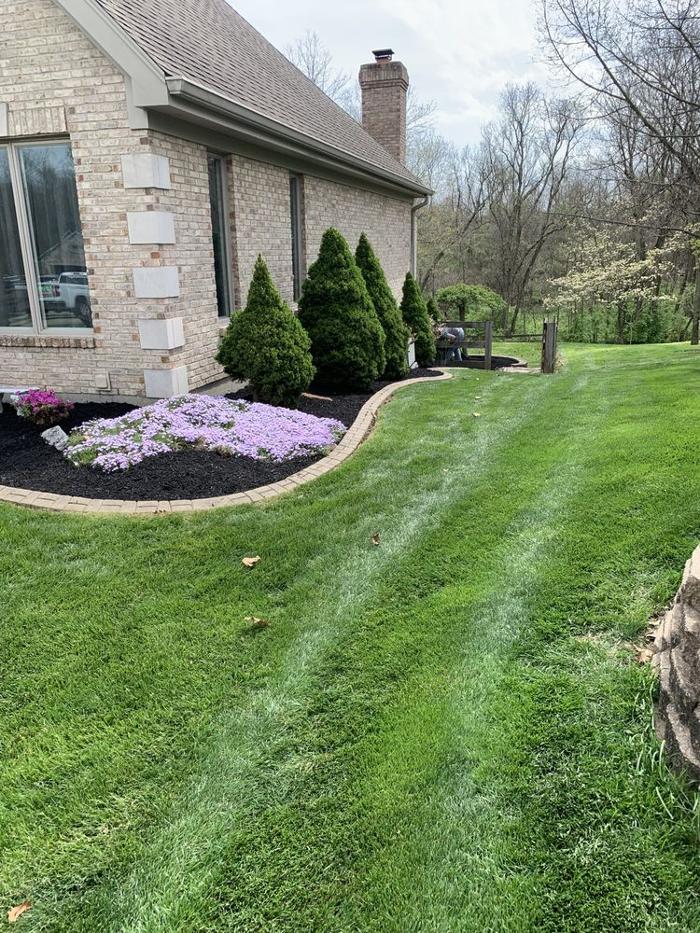 Tri-State Landscaping Service - Dry Ridge, KY